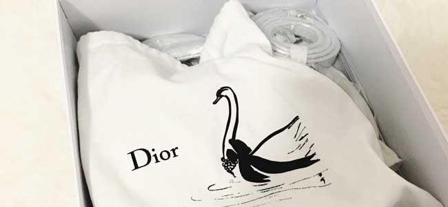 Hộp túi Dior chính hãng